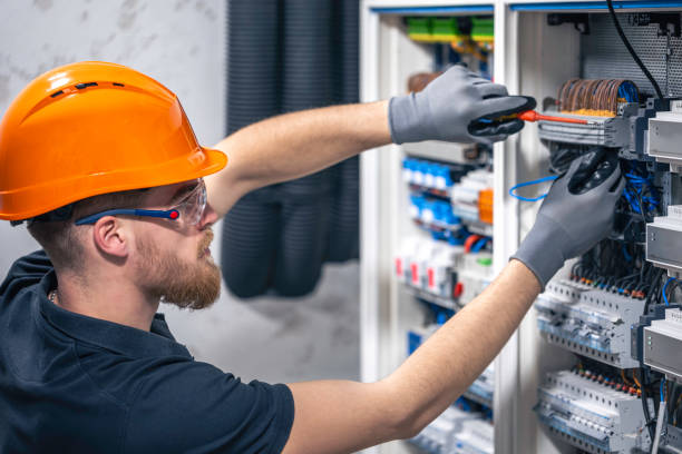 Best Electric Panel Repair  in Lyman, SC